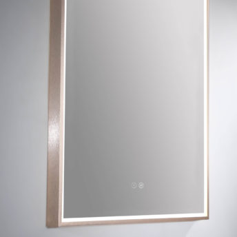 Rose Gold Arch 500D LED Mirror