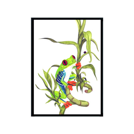 Archie-the-Red-Eyed-Green-Tree-Frog-Fine-Art-Black