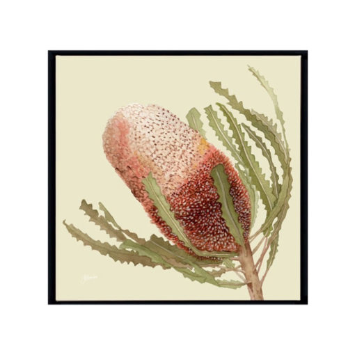 Banksia-Native-Living-Art-Flower-1-in-Pale-Sage-Fine-Art-Black-S