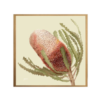 Banksia-Native-Living-Art-Flower-1-in-Pale-Sage-Fine-Art-Natural-S