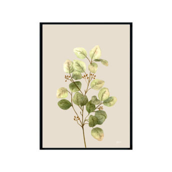 Eucalyptus-Native-Living-1-in-Ivory-Fine-Art-Print-Black