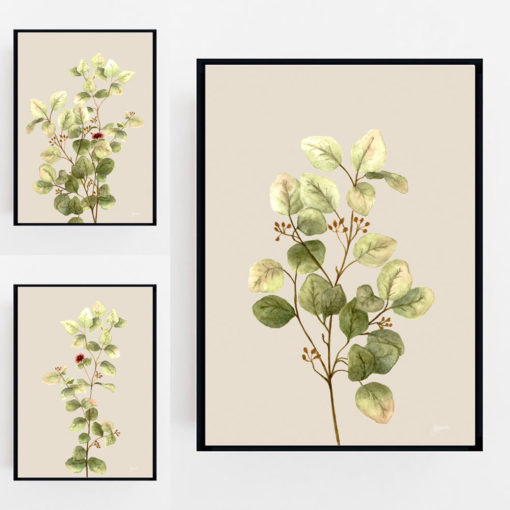 Eucalyptus-Native-Living-1-in-Ivory-Fine-Art-Print-Black-LifeStyle
