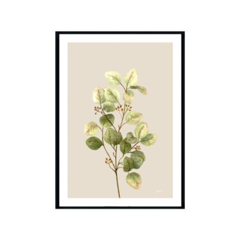 Eucalyptus-Native-Living-1-in-Ivory-Fine-Art-Print-Black-WB