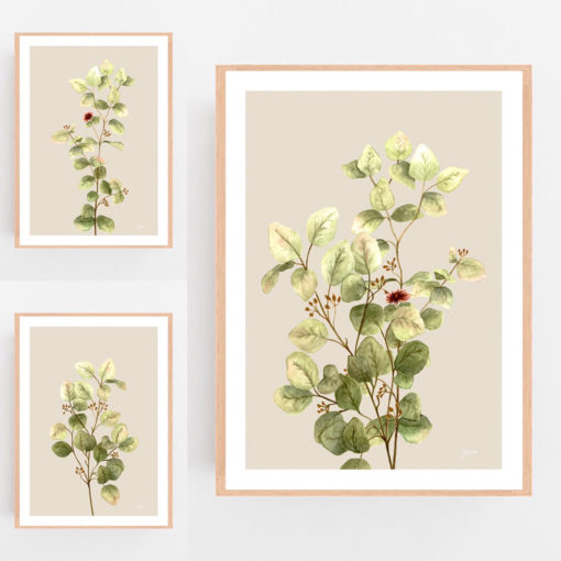 Eucalyptus-Native-Living-1-in-Ivory-Fine-Art-Print-Natural-LifeStyle2