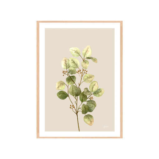Eucalyptus-Native-Living-1-in-Ivory-Fine-Art-Print-Natural-WB