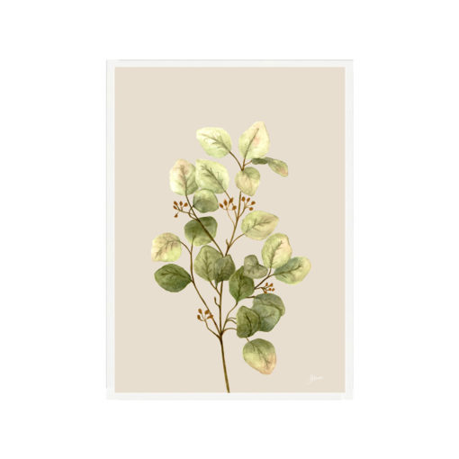 Eucalyptus-Native-Living-1-in-Ivory-Fine-Art-Print-White