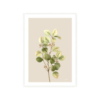 Eucalyptus-Native-Living-1-in-Ivory-Fine-Art-Print-White-WB