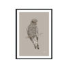 Galah-Australian-Bird-in-Pine-Cone-Fine-Art-Print-Black