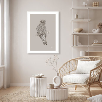 Galah-Australian-Bird-in-Pine-Cone-Fine-Art-Print-LifeStyle