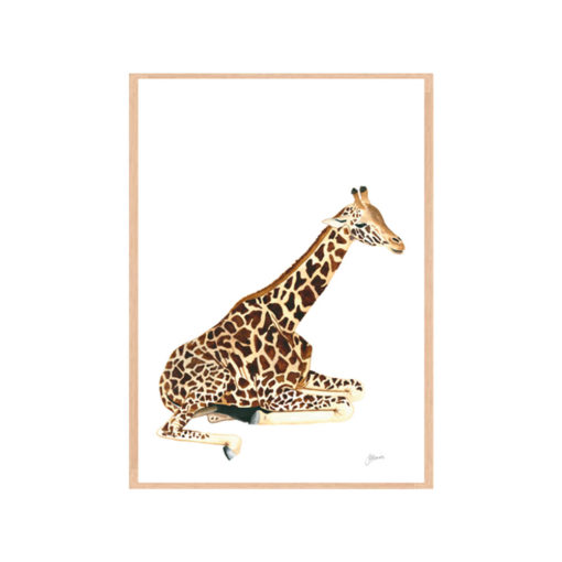 Geoffrey-the-Baby-Giraffe-Fine-Art-Print-Natural