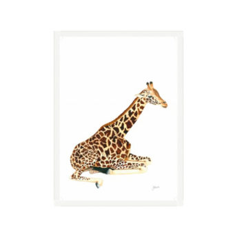 Geoffrey-the-Baby-Giraffe-Fine-Art-Print-White