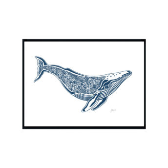 Harry-the-Humpback-Whale-in-Navy-Blue-Fine-Art-Print-Black