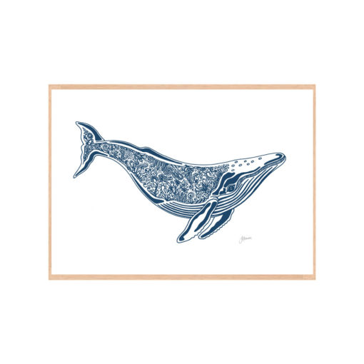 Harry-the-Humpback-Whale-in-Navy-Blue-Fine-Art-Print-Natural