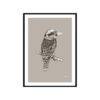 Kookaburra-Australian-Bird-in-Pine-Cone-Fine-Art-Print-Black