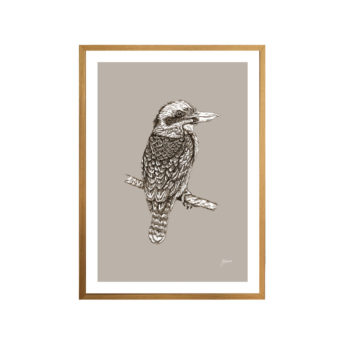 Kookaburra-Australian-Bird-in-Pine-Cone-Fine-Art-Print-Natural