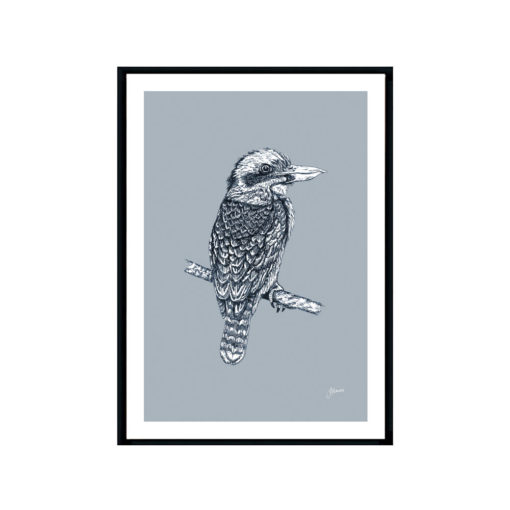 Kookaburra-Australian-Bird-in-Wedgewood-Blue-Fine-Art-Print-Black