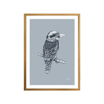 Kookaburra-Australian-Bird-in-Wedgewood-Blue-Fine-Art-Print-Natural
