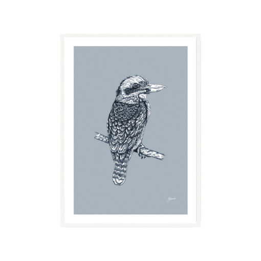 Kookaburra-Australian-Bird-in-Wedgewood-Blue-Fine-Art-Print-White