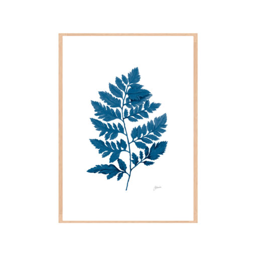 Lush-Fern-Living-in-Navy-Blue-Fine-Art-Print-Natural