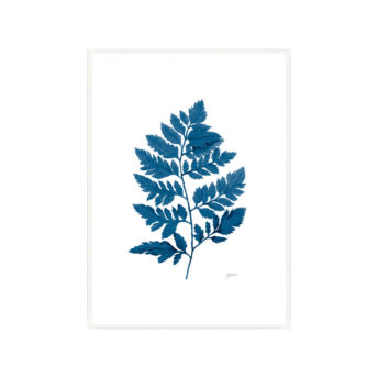Lush-Fern-Living-in-Navy-Blue-Fine-Art-Print-White