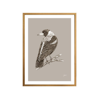 Magpie-Australian-Bird-in-Pine-Cone-Fine-Art-Print-Natural