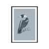 Magpie-Australian-Bird-in-Wedgewood-Blue-Fine-Art-Print-Black