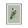 Magpie-Australian-Bird-in-Willow-Green-Fine-Art-Print-Black