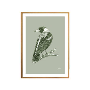 Magpie-Australian-Bird-in-Willow-Green-Fine-Art-Print-Natural