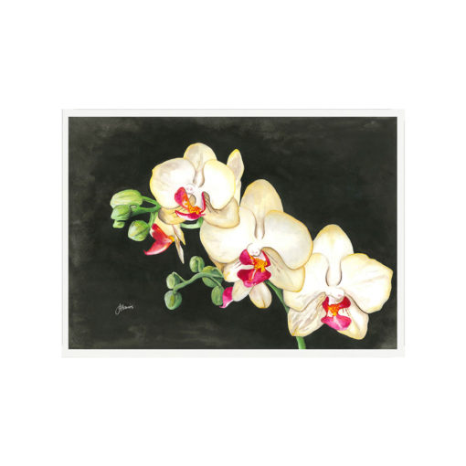 Orchid-Mottled-Black-Living-Fine-Wall-Art-White