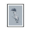Sulphur-Crested-Cockatoo-Australian-Bird-in-Blue-Fine-Art-Print-Black