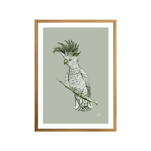 Sulphur-Crested-Cockatoo-Australian-Bird-in-Willow-Green-Fine-Art-Print-Natural