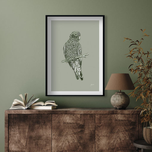 Galah Australian Bird in Willow Green Fine Art Print LifeStyle