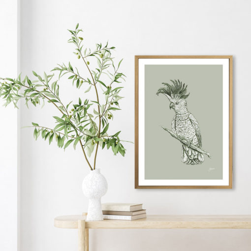 Sulphur Crested Cockatoo Australian Bird in Willow Green Fine Art Print