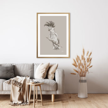 Sulphur Crested Cockatoo Australian Bird in Pine Cone Fine Art Print