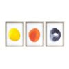 Set of 3 Bold and Bright Framed Wall Art