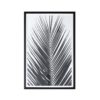 Palm Leaf Framed Wall Art