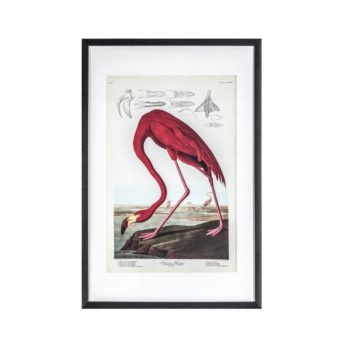 Fascinating Flamingo Framed Wall Art