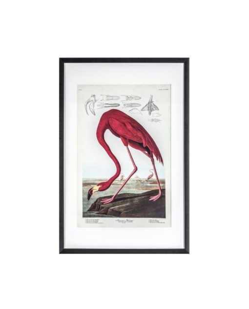Fascinating Flamingo Framed Wall Art