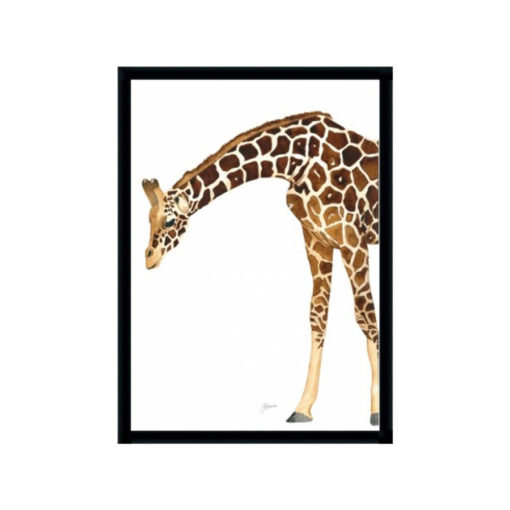 Amber-the-Giraffe-Fine-Art-Print-Black