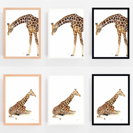 Amber-the-Giraffe-Fine-Art-Print-LifeStyle6