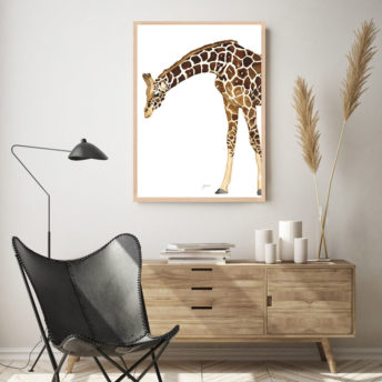 Amber-the-Giraffe-Fine-Art-Print-LifeStyle7