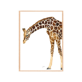 Amber-the-Giraffe-Fine-Art-Print-Natural