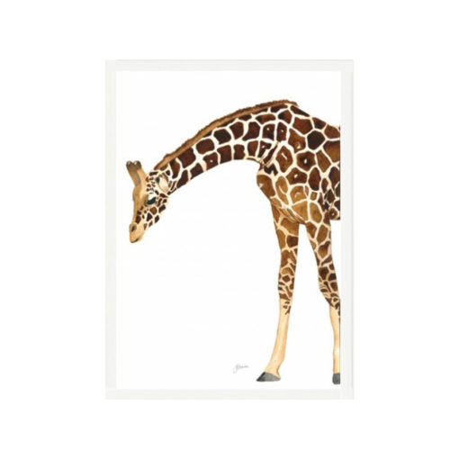 Amber-the-Giraffe-Fine-Art-Print-White