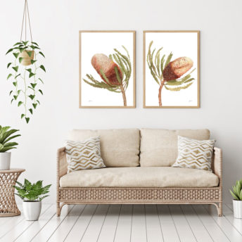 Banksia-Native-Living-Art-Flower-1-in-White-Fine-Art-LifeStyle2