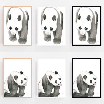 Bracey-the-Panda-Bear-Fine-Art-Print-LifeStyle2