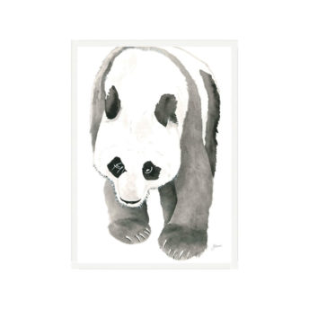Bracey-the-Panda-Bear-Fine-Art-Print-White