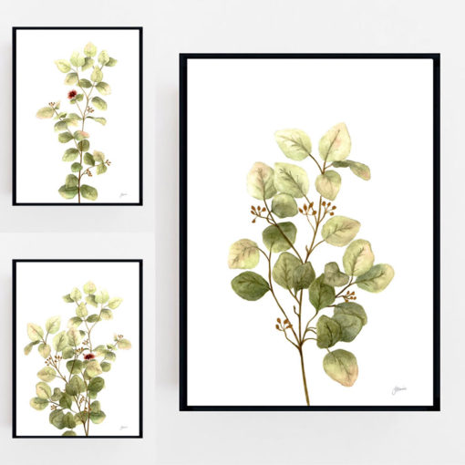 Eucalyptus-Native-Living-2-in-White-Fine-Art-Print-Black-LifeStyle