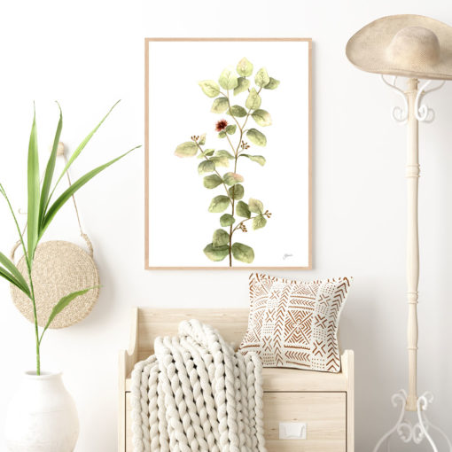 Eucalyptus-Native-Living-2-in-White-Fine-Art-Print-LifeStyle1
