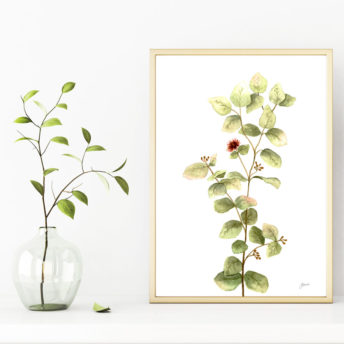 Eucalyptus-Native-Living-2-in-White-Fine-Art-Print-LifeStyle2