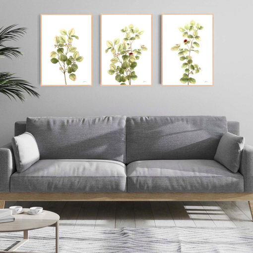 Eucalyptus-Native-Living-2-in-White-Fine-Art-Print-LifeStyle3